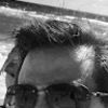 matthew_dargis